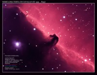 /album/galleria-foto-homepage/ic-434-c1-jpg1/